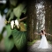 Hochzeit2009_019.jpg